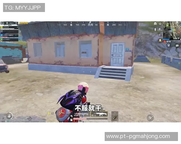 揭秘和平精英成功背后的秘密与陈伟的独特见解